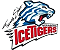 nuernbergicetigers