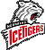 nuernbergicetigers 2020