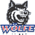 woelfefreiburg