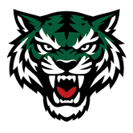 hctigersdornbirn