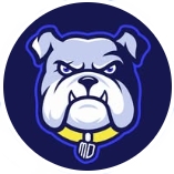 mightydogsschweinfurt