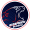 ESV Burgau Eisbaeren