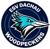 esvdachauwoodpeckers