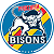 pforzheimbisons