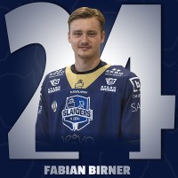 Birner Fabian