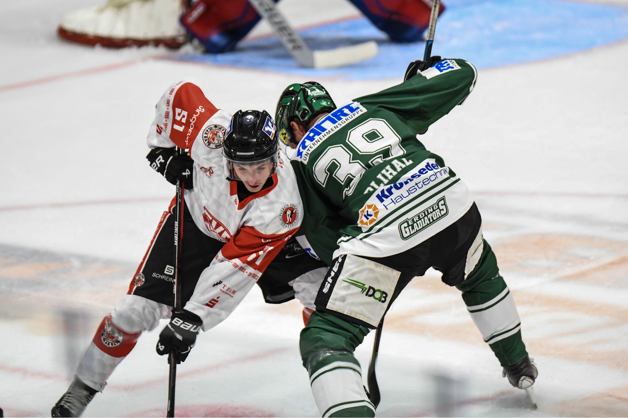 EV Dingolfing - Erding Gladiators 53